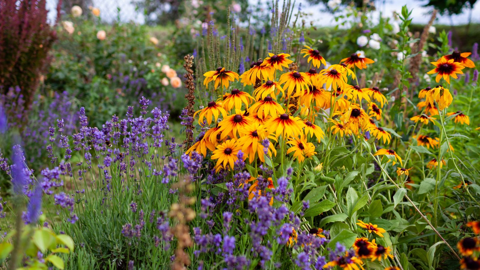 Unser Sortiment: Pflanzen, Stauden und Saisonale Blumen